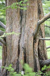 《雪人兄弟：仙境》现已正式发售 Steam首发特惠86.4元